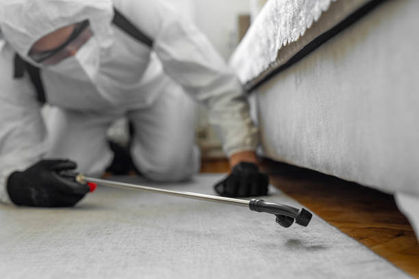 Professional Termite Control technician working in Lake Jackson, TX