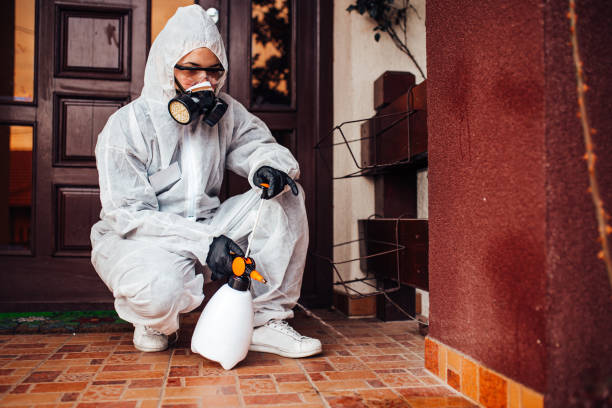 Reliable Termite Control contractor in Lake Jackson, TX by Nex Pest Control